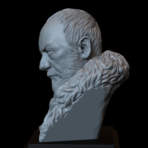 Davos Seaworth #GameOfThrones Portrait, Bust, 200mm 3D Print 254347 Davos Seaworth #GameOfThrones Portrait, Bust, 200mm 3D Print 254347