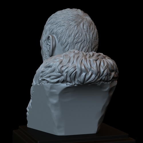 Davos Seaworth #GameOfThrones Portrait, Bust, 200mm 3D Print 254348 Davos Seaworth #GameOfThrones Portrait, Bust, 200mm 3D Print 254348