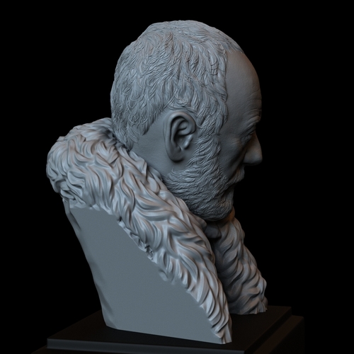 Davos Seaworth #GameOfThrones Portrait, Bust, 200mm 3D Print 254349 Davos Seaworth #GameOfThrones Portrait, Bust, 200mm 3D Print 254349