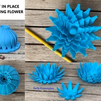 Small Print in place blooming flower 3D Printing 256235