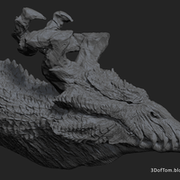 Small Dragon Head A 3D Printing 25626