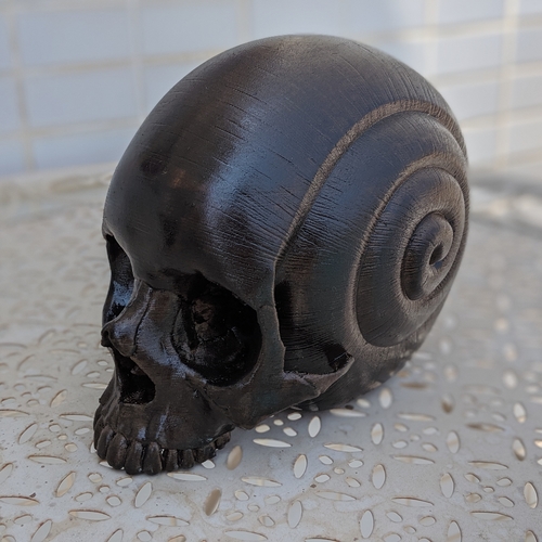 Skull Snail 3D sculpture. 3D Print 256849 Skull Snail 3D sculpture. 3D Print 256849