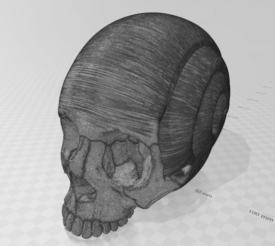 Skull Snail 3D sculpture. 3D Print 256850 Skull Snail 3D sculpture. 3D Print 256850