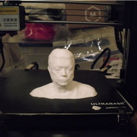 Small Bust print of myself  from 3d scan 3D Printing 256928