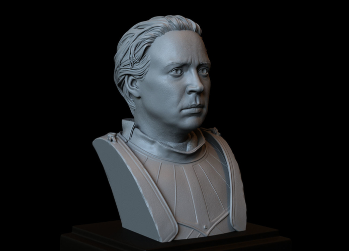 Brienne of Tarth from Game of Thrones, bust, 200mm 3D Print 258479 Brienne of Tarth from Game of Thrones, bust, 200mm 3D Print 258479