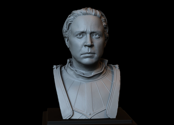 Brienne of Tarth from Game of Thrones, bust, 200mm 3D Print 258480 Brienne of Tarth from Game of Thrones, bust, 200mm 3D Print 258480
