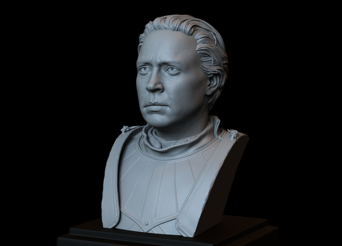 Brienne of Tarth from Game of Thrones, bust, 200mm 3D Print 258481 Brienne of Tarth from Game of Thrones, bust, 200mm 3D Print 258481