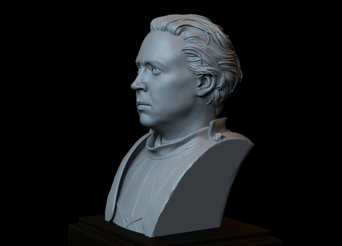 Brienne of Tarth from Game of Thrones, bust, 200mm 3D Print 258482 Brienne of Tarth from Game of Thrones, bust, 200mm 3D Print 258482
