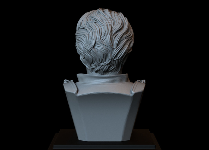 Brienne of Tarth from Game of Thrones, bust, 200mm 3D Print 258483 Brienne of Tarth from Game of Thrones, bust, 200mm 3D Print 258483