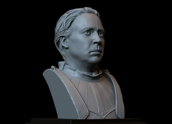 Brienne of Tarth from Game of Thrones, bust, 200mm 3D Print 258485 Brienne of Tarth from Game of Thrones, bust, 200mm 3D Print 258485