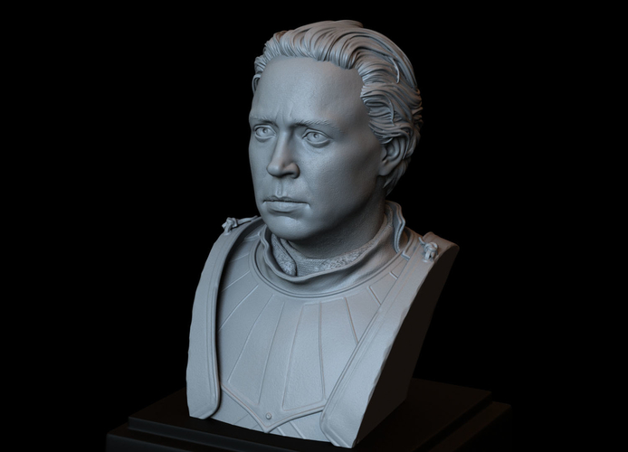 Brienne of Tarth from Game of Thrones, bust, 200mm 3D Print 258486 Brienne of Tarth from Game of Thrones, bust, 200mm 3D Print 258486