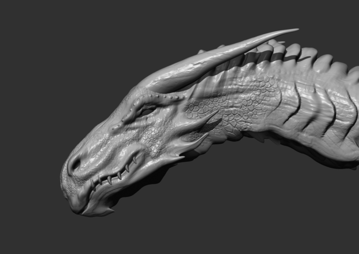 Dragon Head 3D Print 258581 Dragon Head 3D Print 258581