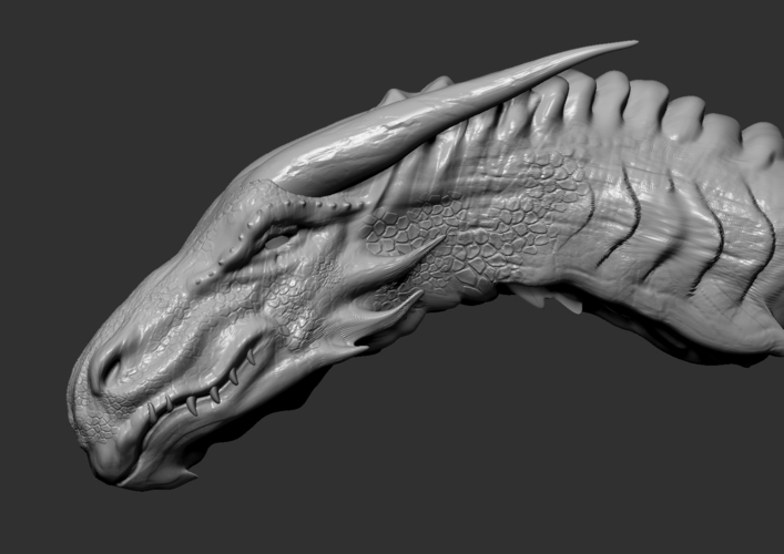 Dragon Head 3D Print 258583 Dragon Head 3D Print 258583