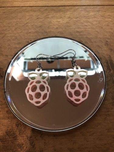 Raspberry Pi earrings 3D Print 259059 Raspberry Pi earrings 3D Print 259059