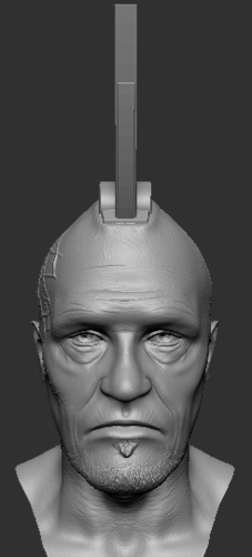 Yondu Udonta Bust (Guardians of the Galaxy) 3D Print 259179 Yondu Udonta Bust (Guardians of the Galaxy) 3D Print 259179