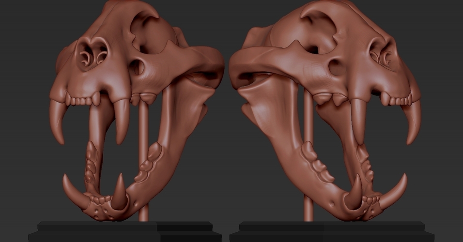 TIGER SKULL 3D Print 262940 TIGER SKULL 3D Print 262940
