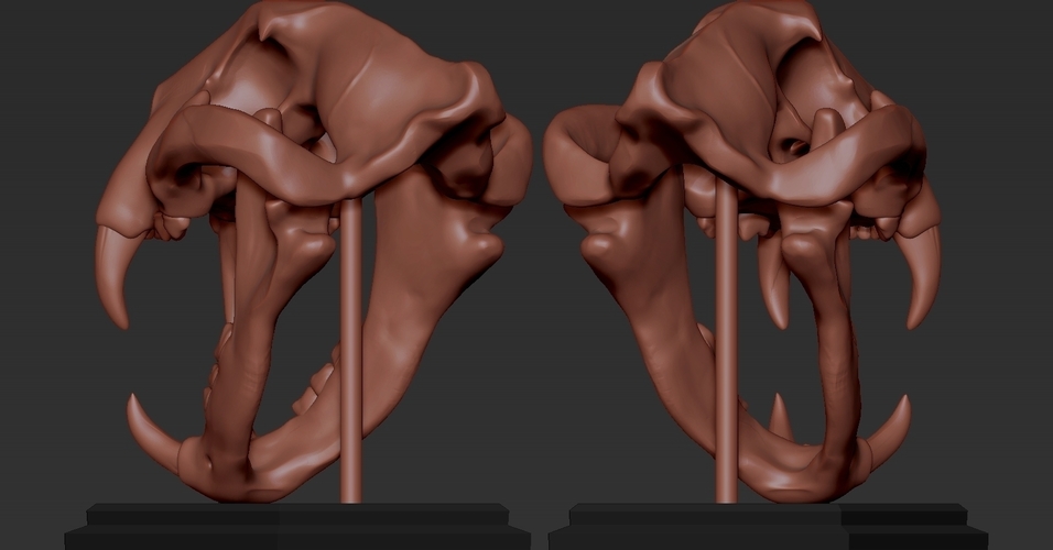 TIGER SKULL 3D Print 262941 TIGER SKULL 3D Print 262941