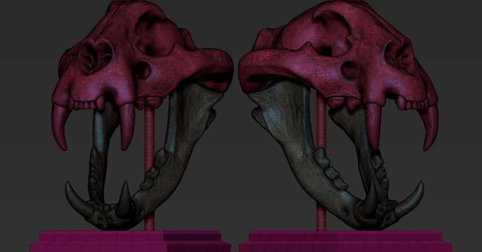 TIGER SKULL 3D Print 262942 TIGER SKULL 3D Print 262942
