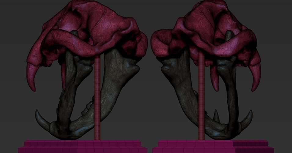 TIGER SKULL 3D Print 262943 TIGER SKULL 3D Print 262943
