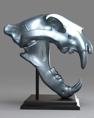 TIGER SKULL 3D Print 262945 TIGER SKULL 3D Print 262945
