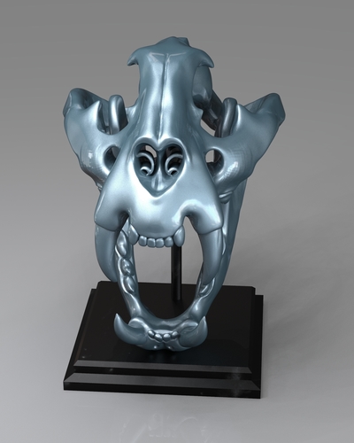TIGER SKULL 3D Print 262946 TIGER SKULL 3D Print 262946