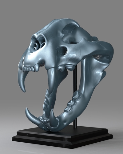 TIGER SKULL 3D Print 262947 TIGER SKULL 3D Print 262947