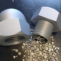 Small Cap Nut Container 3D Printing 263083