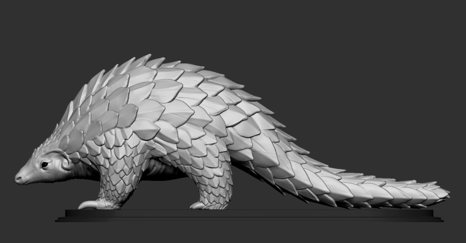 Pangolin 3D Print 263186 Pangolin 3D Print 263186