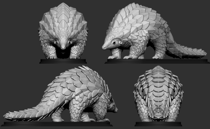 Pangolin 3D Print 263188 Pangolin 3D Print 263188