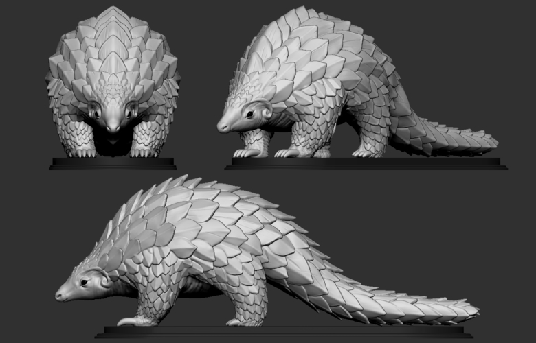 Pangolin 3D Print 263190 Pangolin 3D Print 263190