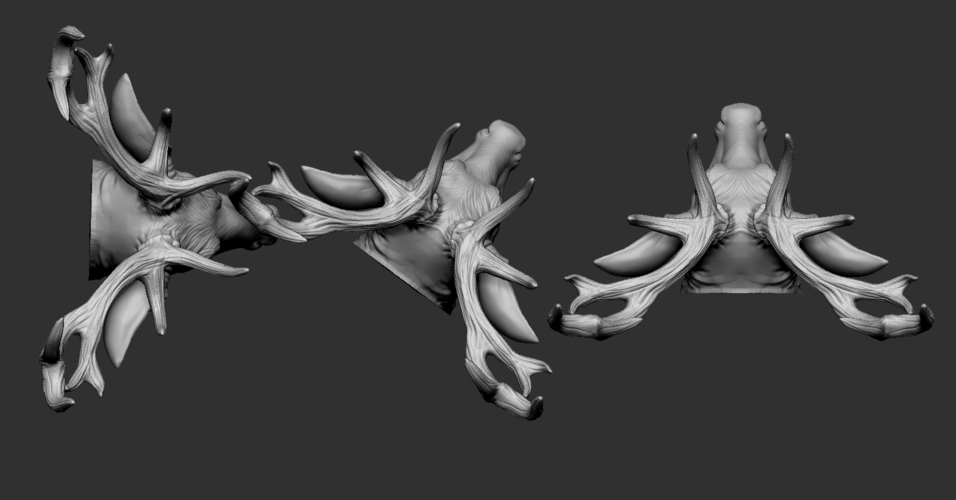 Deer head 3D Print 263218 Deer head 3D Print 263218