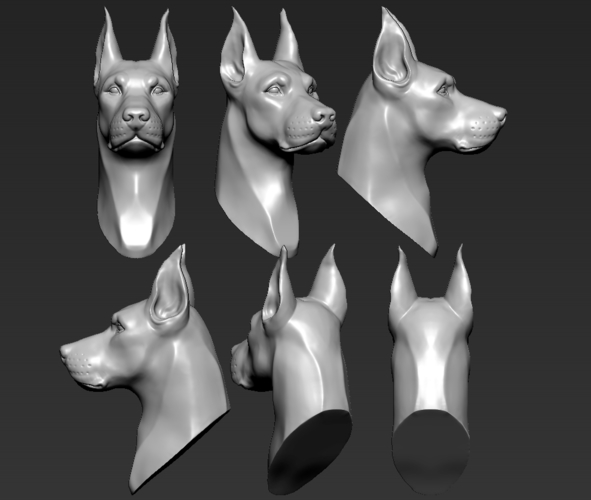 Doberman Head 3D Print 263240 Doberman Head 3D Print 263240