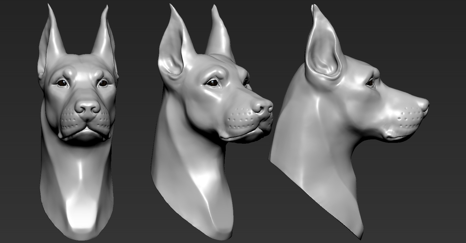 Doberman Head 3D Print 263244 Doberman Head 3D Print 263244
