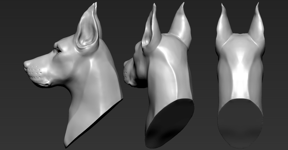 Doberman Head 3D Print 263245 Doberman Head 3D Print 263245