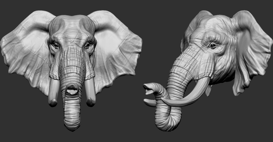 Elephant Head 3D Print 263253 Elephant Head 3D Print 263253