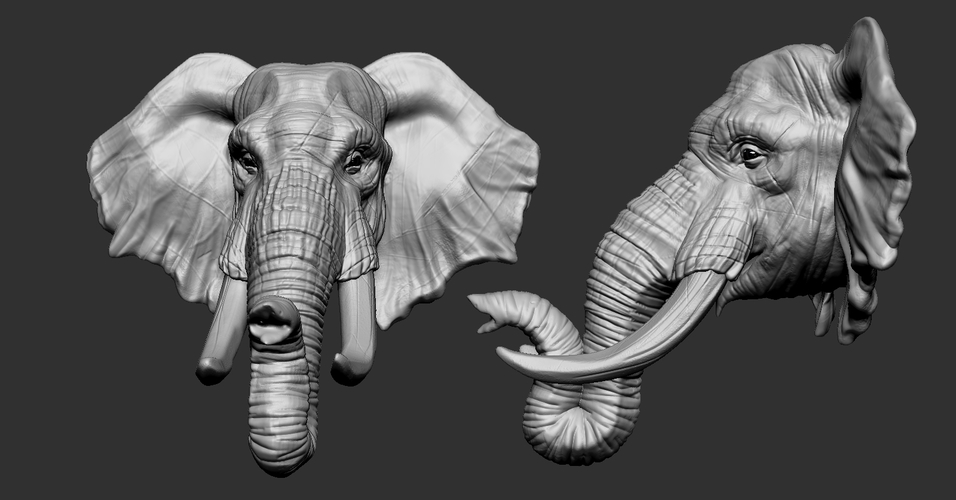 Elephant Head 3D Print 263254 Elephant Head 3D Print 263254