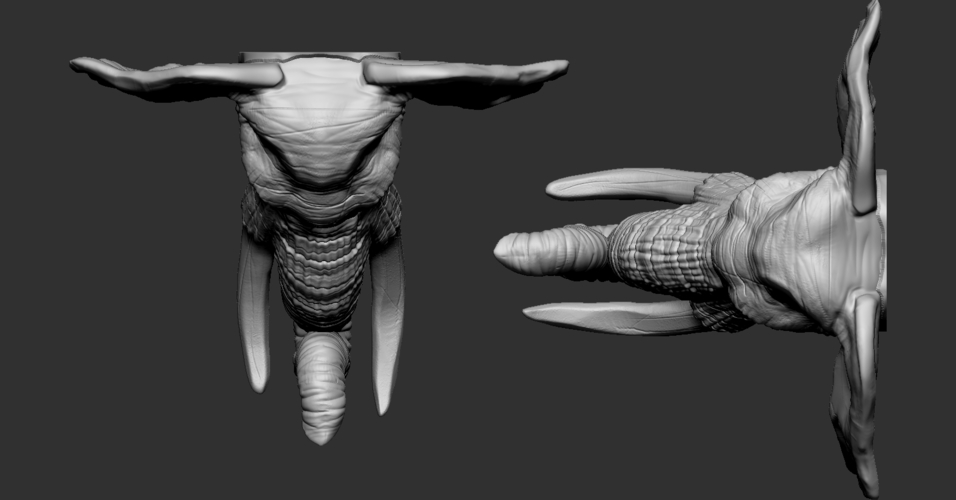 Elephant Head 3D Print 263255 Elephant Head 3D Print 263255