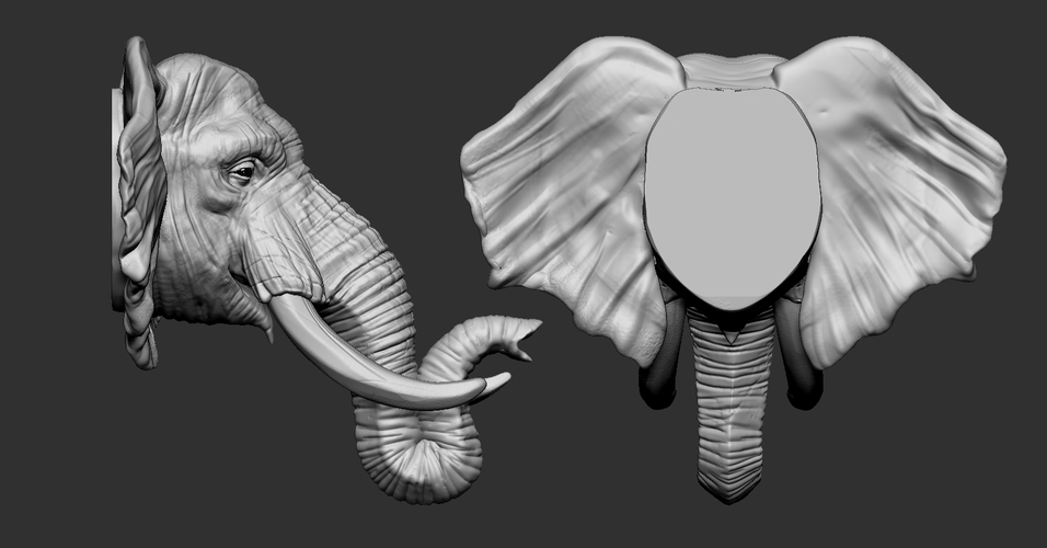 Elephant Head 3D Print 263256 Elephant Head 3D Print 263256