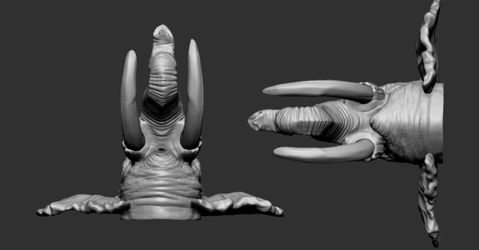 Elephant Head 3D Print 263257 Elephant Head 3D Print 263257