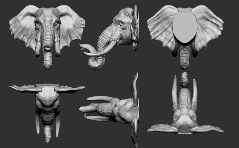 Elephant Head 3D Print 263258 Elephant Head 3D Print 263258