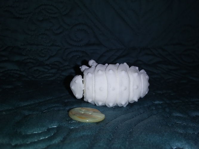 The Articulated Predominant Isopod 3D Print 263867