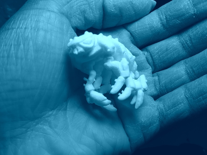 The Articulated Predominant Isopod 3D Print 263878