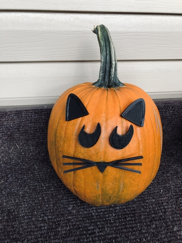 Mr. Pumpkin Head/Halloween Cat Pumpkin Face/Kids Halloween Craft 3D Print 264962