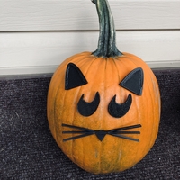 Small Mr. Pumpkin Head/Halloween Cat Pumpkin Face/Kids Halloween Craft 3D Printing 264962