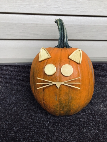 Mr. Pumpkin Head/Halloween Cat Pumpkin Face/Kids Halloween Craft 3D Print 264964