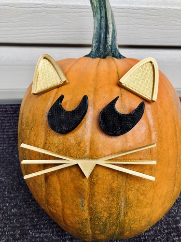 Mr. Pumpkin Head/Halloween Cat Pumpkin Face/Kids Halloween Craft 3D Print 264966