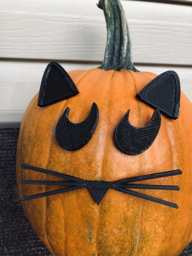 Mr. Pumpkin Head/Halloween Cat Pumpkin Face/Kids Halloween Craft 3D Print 264967