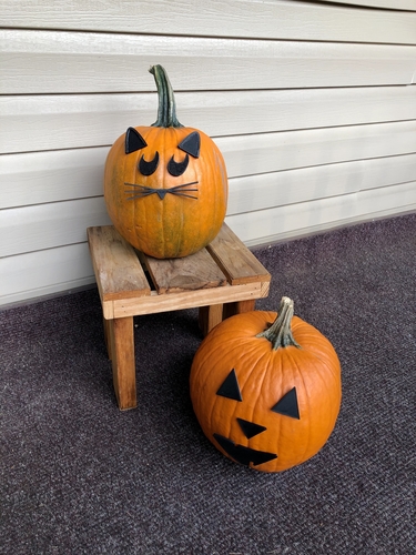 Mr. Pumpkin Head/Halloween Cat Pumpkin Face/Kids Halloween Craft 3D Print 264969