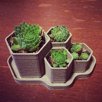 Small Hex Planter 3D Printing 26579