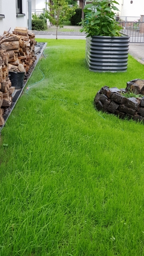  Garden Irrigation Spray System / Garten Bewässerung System  3D Print 266123